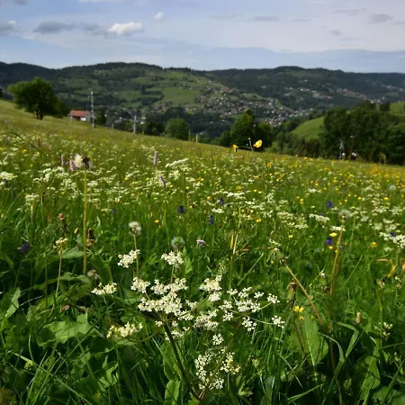 Lovely Holiday In Sur Moselle With Garden Σπίτι διακοπών *