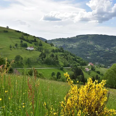 Lovely Holiday In Sur Moselle With Garden Σπίτι διακοπών